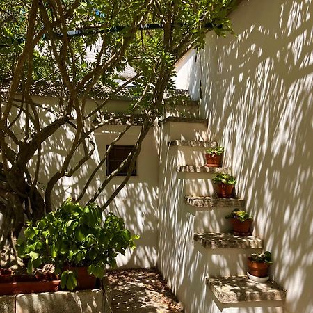 I Trulli Della Naturabio มาร์ตินาฟรังกา ภายนอก รูปภาพ