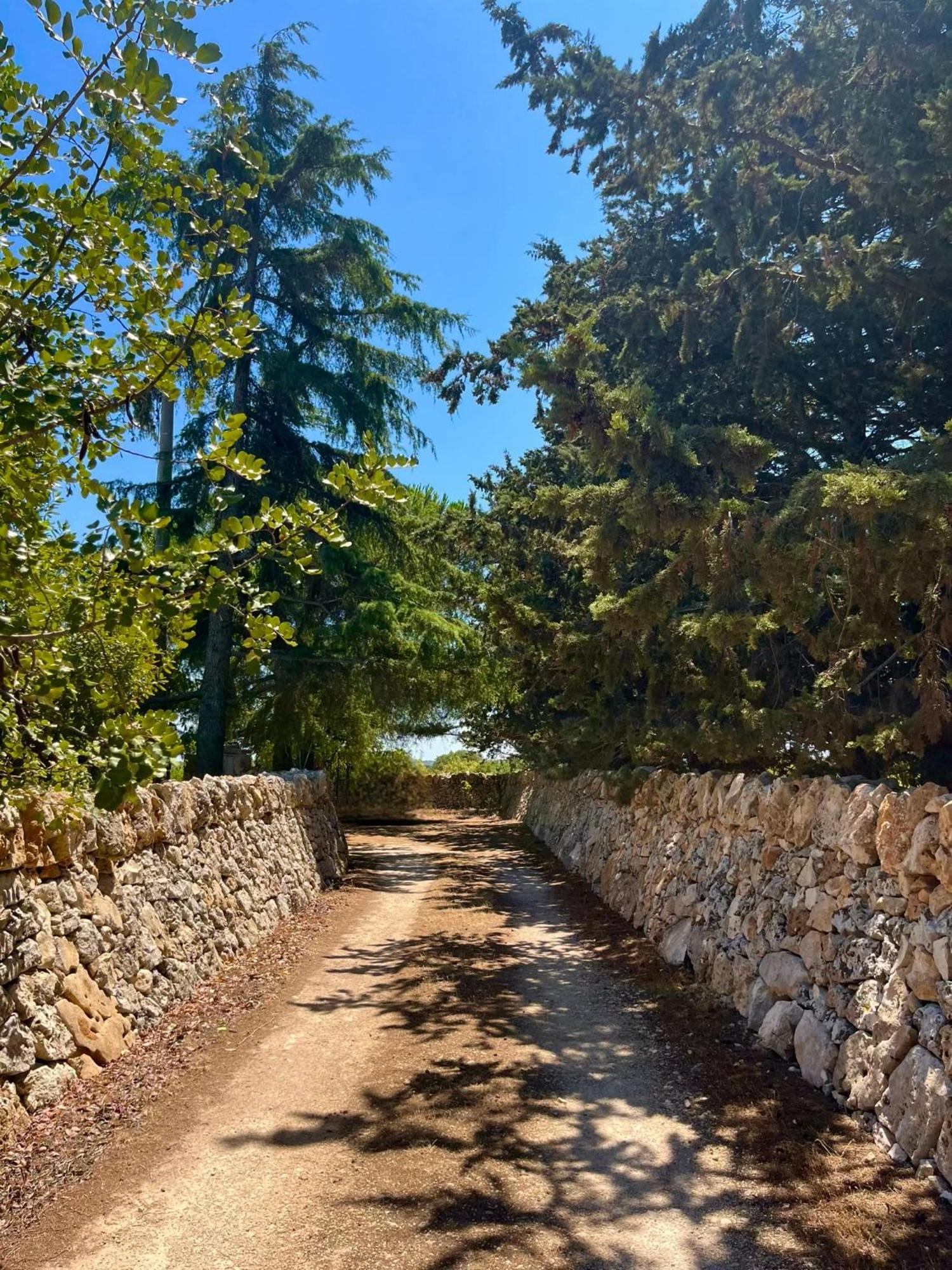 I Trulli Della Naturabio มาร์ตินาฟรังกา ภายนอก รูปภาพ