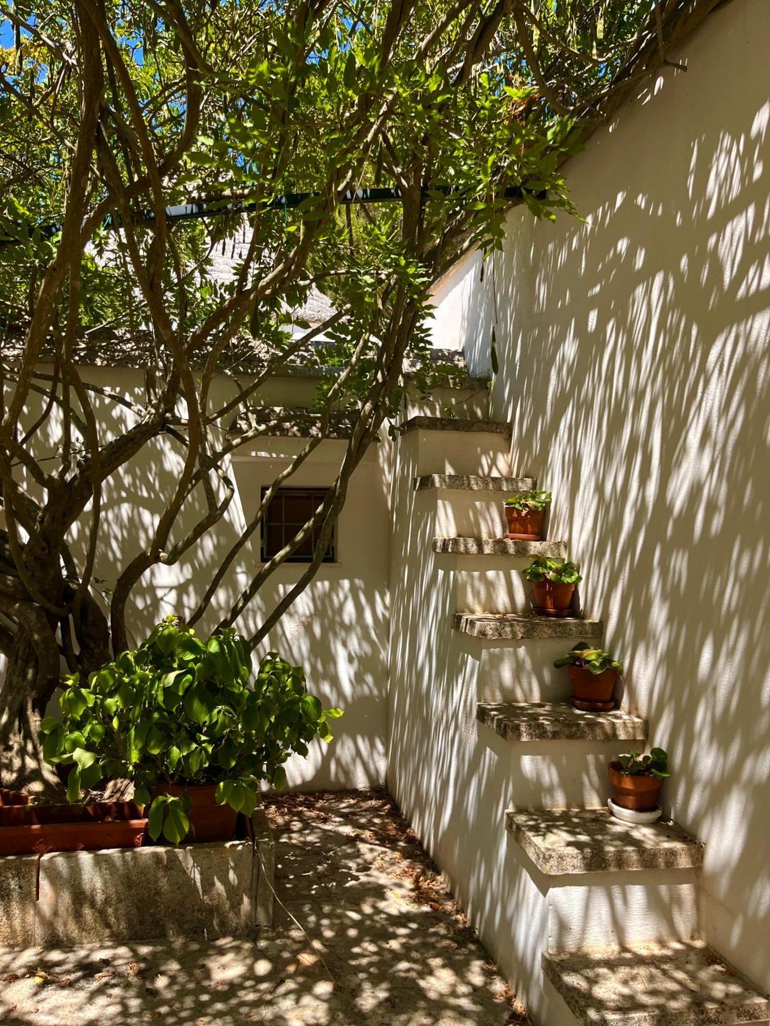 I Trulli Della Naturabio มาร์ตินาฟรังกา ภายนอก รูปภาพ
