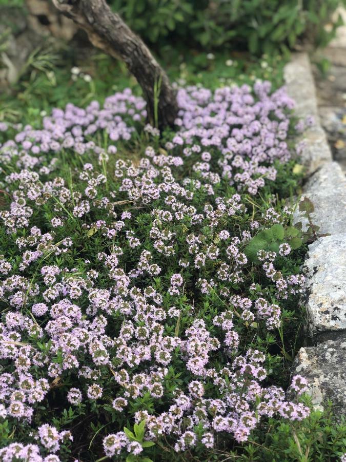 I Trulli Della Naturabio มาร์ตินาฟรังกา ภายนอก รูปภาพ