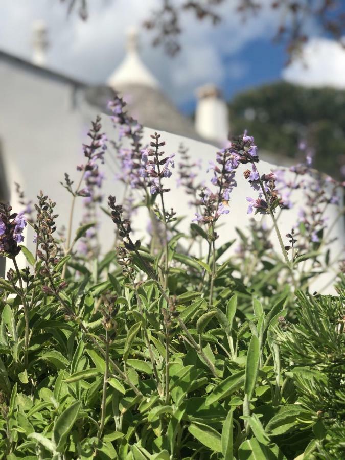I Trulli Della Naturabio มาร์ตินาฟรังกา ภายนอก รูปภาพ