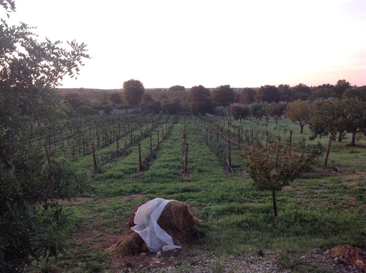 I Trulli Della Naturabio มาร์ตินาฟรังกา ภายนอก รูปภาพ